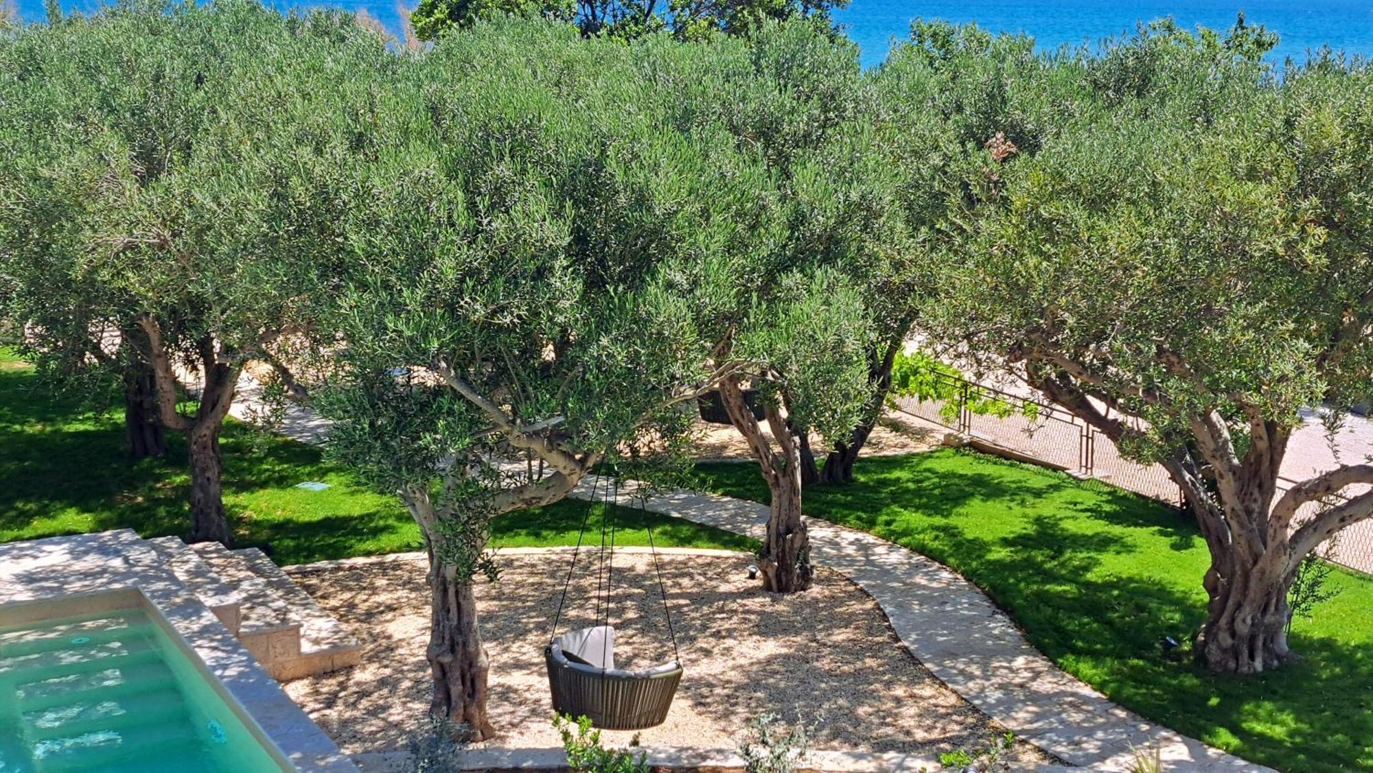 וודיצה O'Life Boutique Apartments מראה חיצוני תמונה